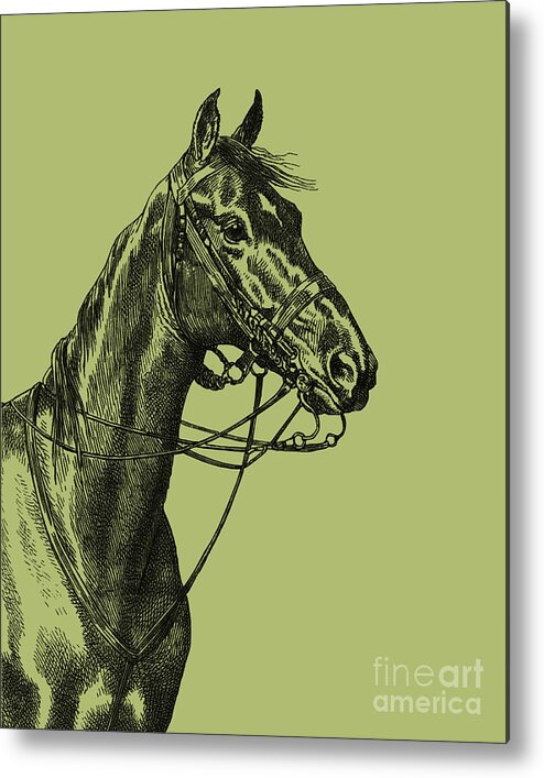 Horse Metal Print featuring the digital art Horse Portrait by Madame Memento