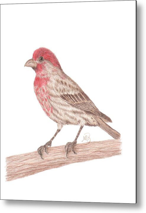 Bird Art Metal Print featuring the painting House Finch by Monica Burnette