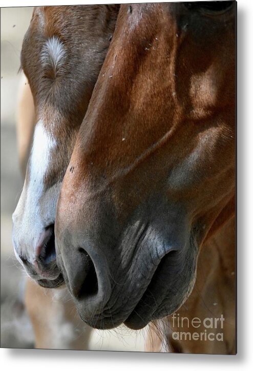 Salt River Wild Horses Metal Print featuring the digital art I Love You Mommy by Tammy Keyes