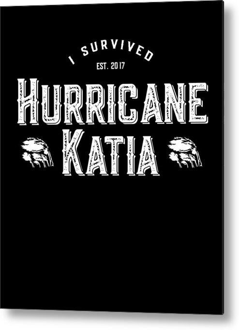 Funny Metal Print featuring the digital art I Survived Hurricane Katia by Flippin Sweet Gear