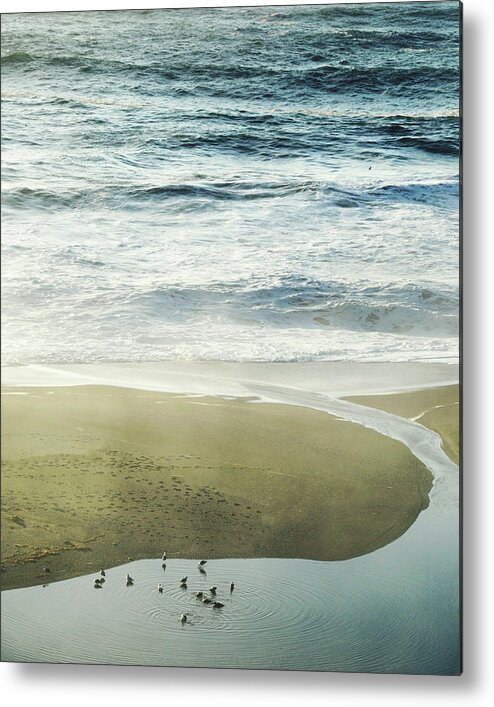 Ocean Metal Print featuring the photograph Into the Sea by Lupen Grainne