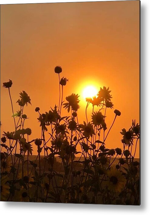Iphonography Metal Print featuring the photograph iPhonography Sunset 4 by Julie Powell