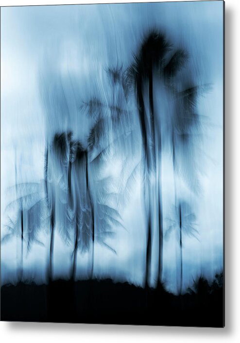 Island Metal Print featuring the photograph Island Mood by Shelby Erickson