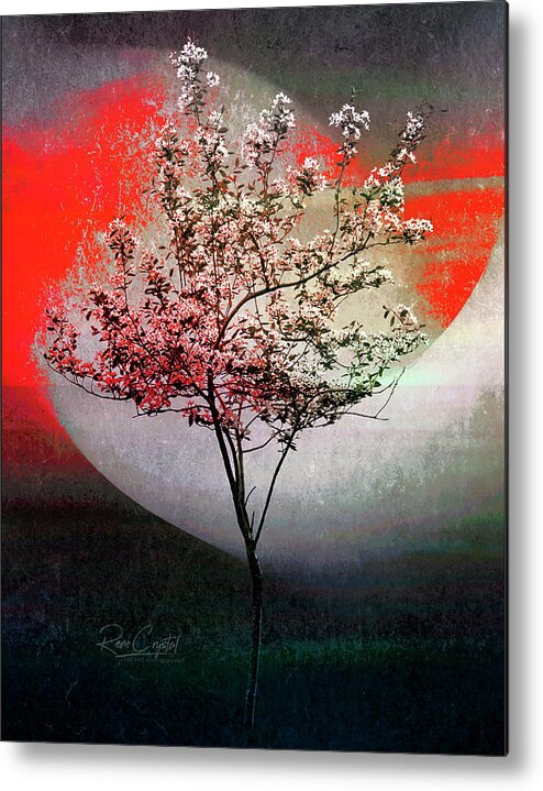 Trees Metal Print featuring the photograph It's My Time To Bloom by Rene Crystal