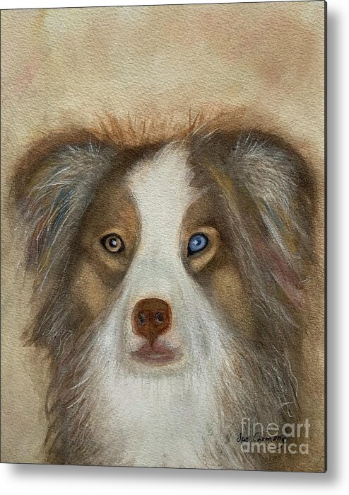 Dog Metal Print featuring the painting Junie by Sue Carmony