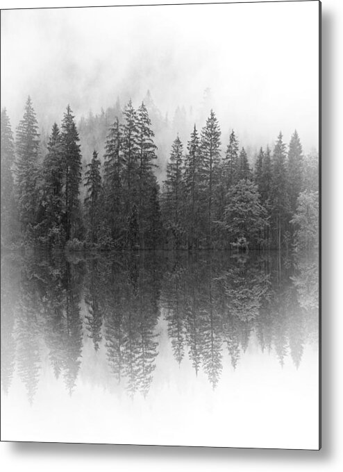 Forest Metal Print featuring the mixed media Landscape Forest Photo 141 by Lucie Dumas