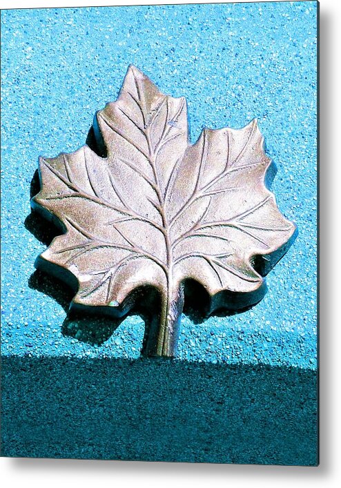 Leaves Metal Print featuring the photograph Leaf Sculpture by Andrew Lawrence
