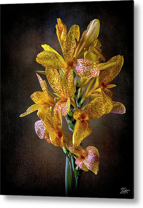 Flower Metal Print featuring the photograph Leopard Lilies by Endre Balogh
