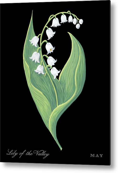 Lily Of The Valley Metal Print featuring the painting Lily of the Valley May Birth Month Flower Botanical Print on Black - Art by Jen Montgomery by Jen Montgomery