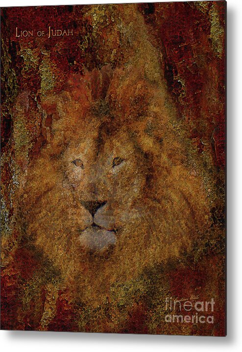 Lion Metal Print featuring the photograph Lion of Judah by Constance Woods
