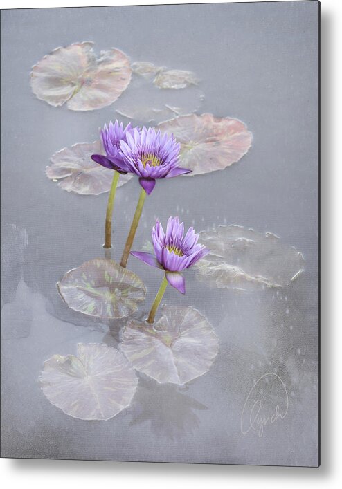 Flower Metal Print featuring the photograph Lotus Blossoms by Karen Lynch