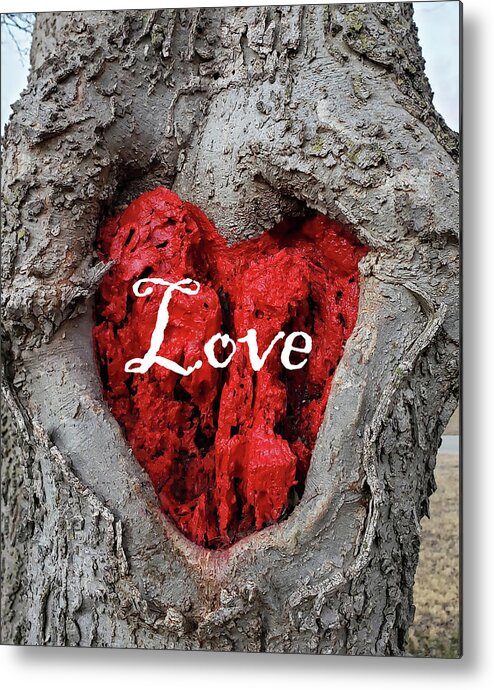 Love Metal Print featuring the photograph LOVE Red Heart In a Tree by Lynnie Lang