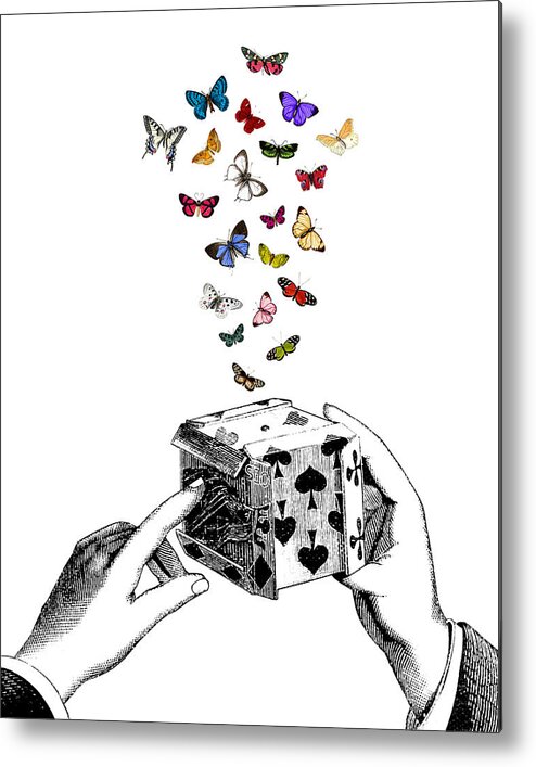 Butterfly Metal Print featuring the digital art Magic Box by Madame Memento