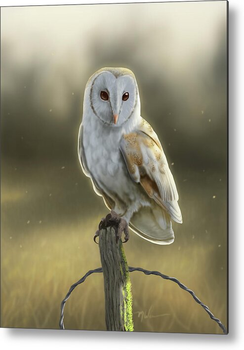 Barn Owl Metal Print featuring the digital art Magical Light by Michael Winn