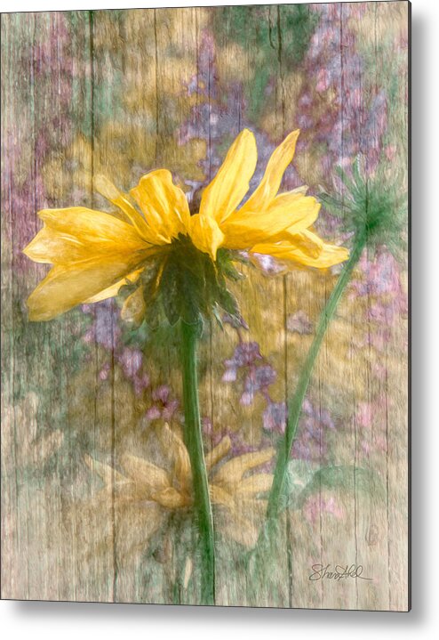  Metal Print featuring the photograph Mellow Yellow Dream by Shara Abel