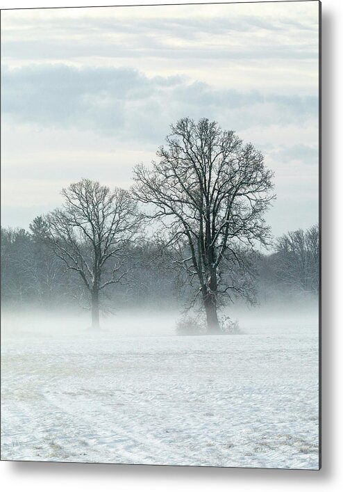 Nature Metal Print featuring the photograph Misty Morning by William Bretton