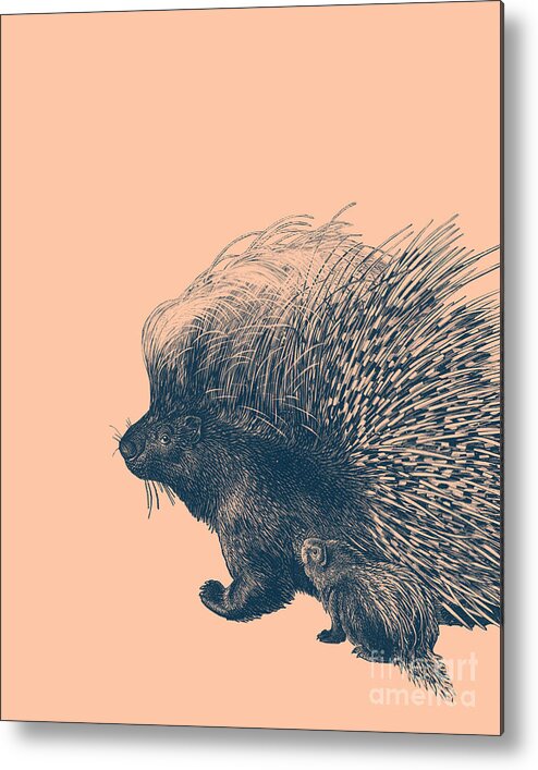 Porcupine Metal Print featuring the digital art Mommy And Baby Porcupine In Pink And Blue by Madame Memento