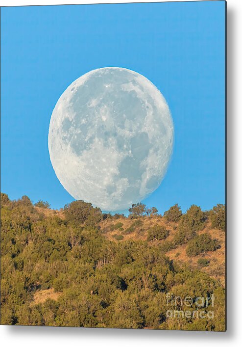 Natanson Metal Print featuring the photograph Moon Setting 3 by Steven Natanson