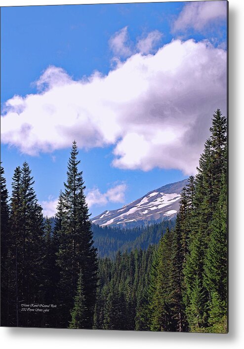 Glaciers Metal Print featuring the photograph Mount Rainier National Park by Connie Fox