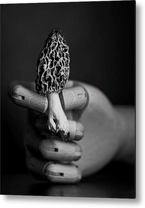 Spring Metal Print featuring the photograph Mushroom Hunting by Holly Ross