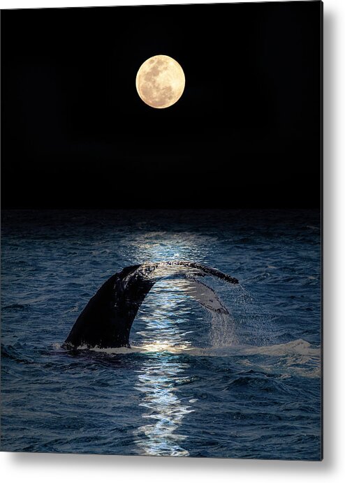 2/18 Metal Print featuring the photograph Mystical Moments by Louise Lindsay