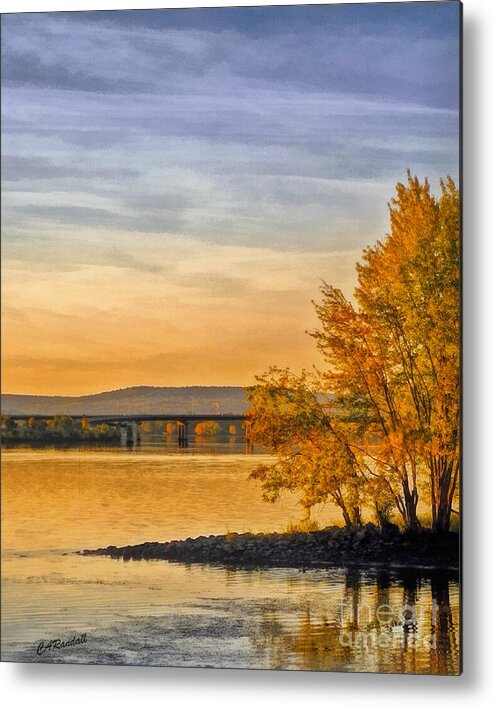 Trees Metal Print featuring the photograph On Golden Point by Carol Randall