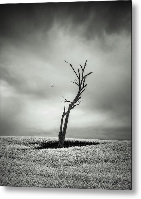 Monochrome Metal Print featuring the photograph Out West by Grant Galbraith