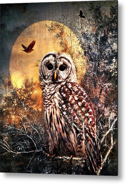 Photography Metal Print featuring the photograph Owl in Moonlight by Shara Abel