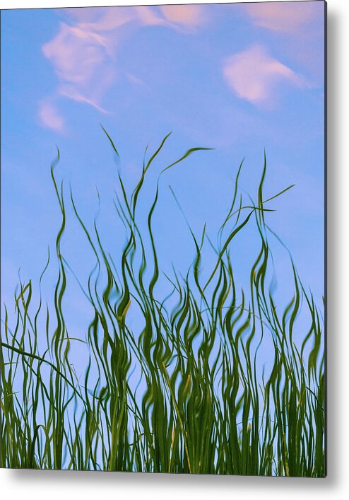 Grasses Metal Print featuring the photograph Painterly grasses by Stephen Holst