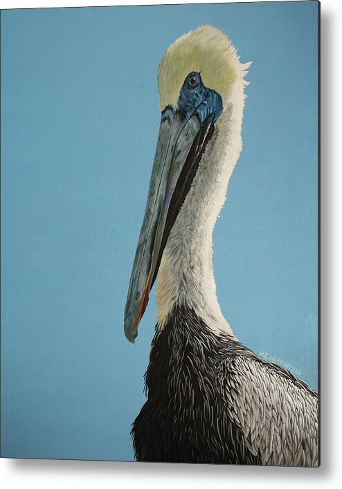 Pelican Metal Print featuring the painting Pelicanus Magnificus by Heather E Harman