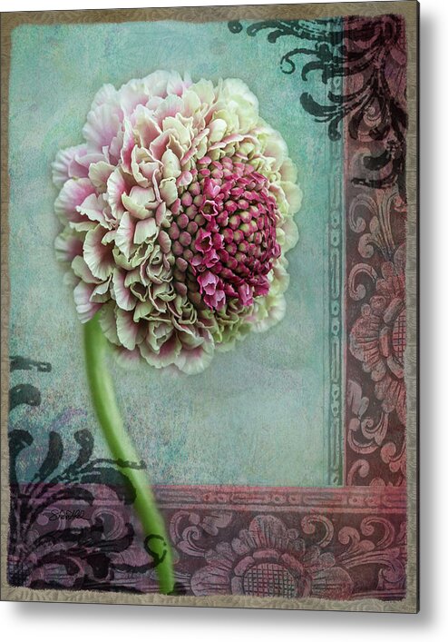 Fine Art Metal Print featuring the photograph Pincushion Collage-Right by Shara Abel