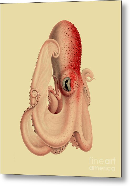 Octopus Metal Print featuring the digital art Pink Octopus by Madame Memento