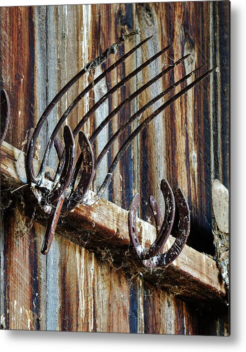 Pitchfork With Horseshoes Metal Print by Brett Harvey - Fine Art America