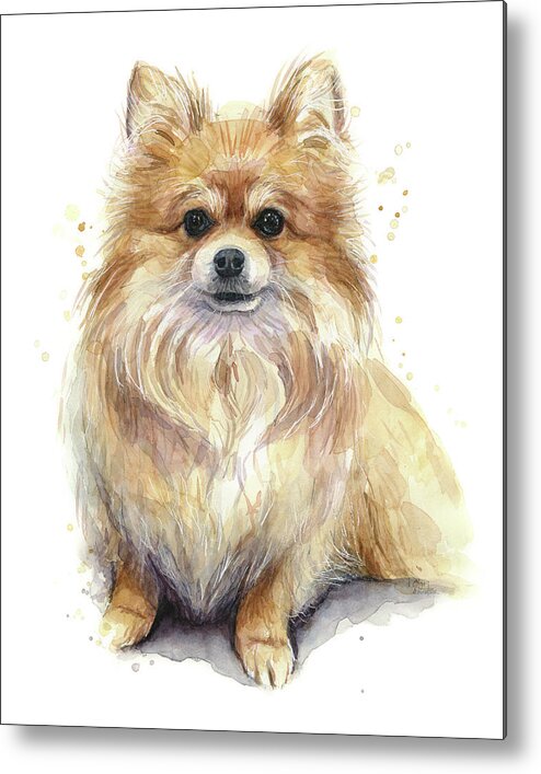 Pom Metal Print featuring the painting Pomeranian Dog by Olga Shvartsur