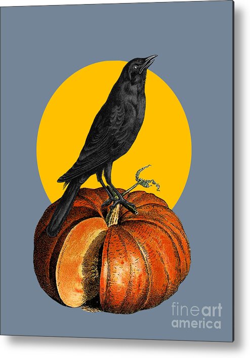 Halloween Metal Print featuring the digital art Pumpkin Halloween Crow by Madame Memento