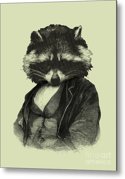 Raccoon Metal Print featuring the mixed media Raccoon Gentleman by Madame Memento