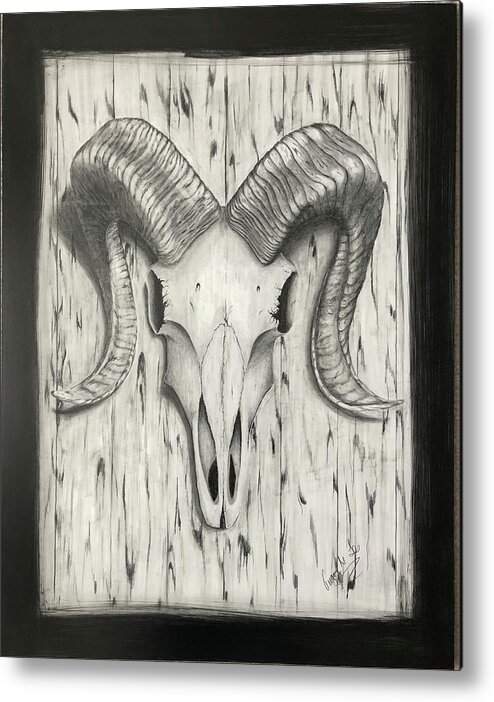 Ram Metal Print featuring the drawing Ram Skull by Gregory Lee
