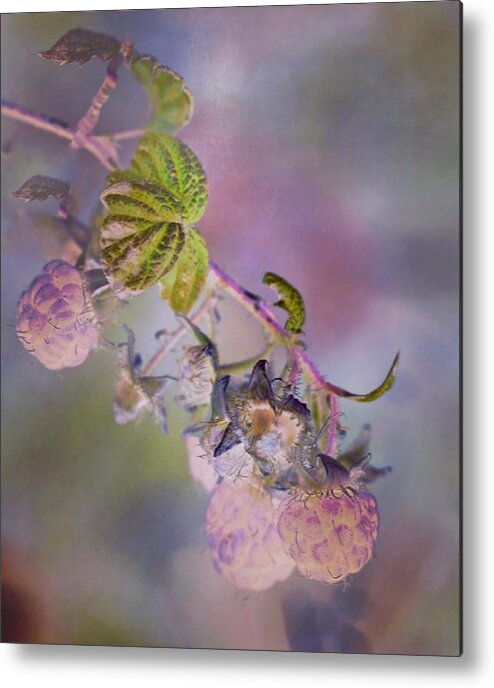 Raspberry Metal Print featuring the photograph Raspberry sorbet by Nicole March