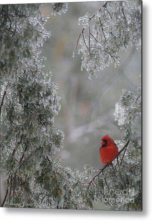 Bird Metal Print featuring the photograph Renewal by Constance Woods