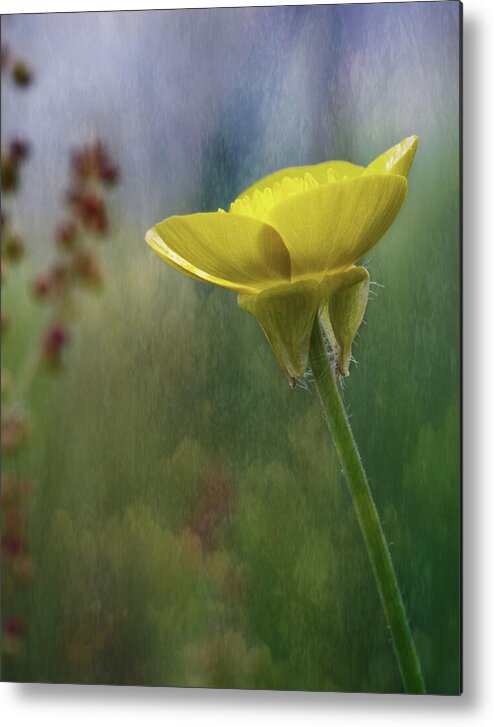 Flower Metal Print featuring the photograph Resplendent Bloom by Dale Kincaid