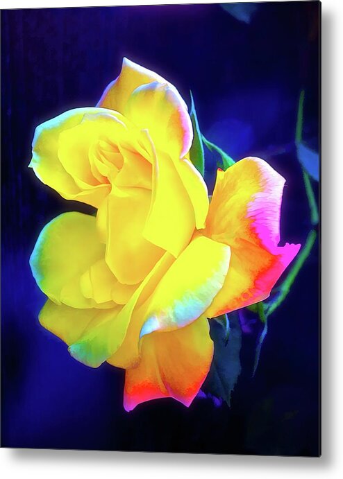 Flowers Metal Print featuring the photograph Rose 4 by Pamela Cooper