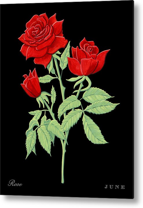 Rose Metal Print featuring the painting Rose June Birth Month Flower Botanical Print on Black - Art by Jen Montgomery by Jen Montgomery