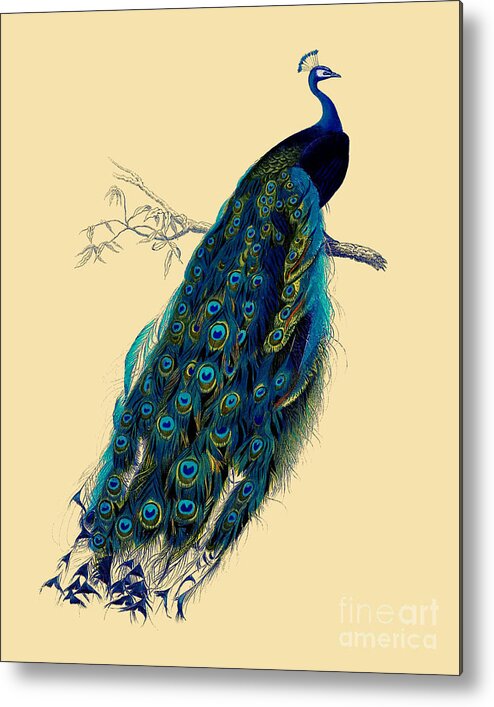 Peacock Metal Print featuring the digital art Rustic Peacock Decor by Madame Memento