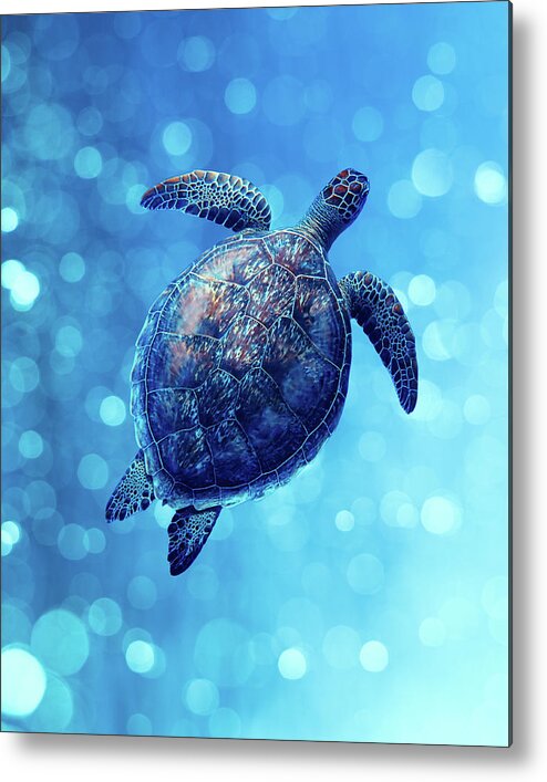 Animal Metal Print featuring the photograph Sea Turtle Bubbly Blues by Laura Fasulo