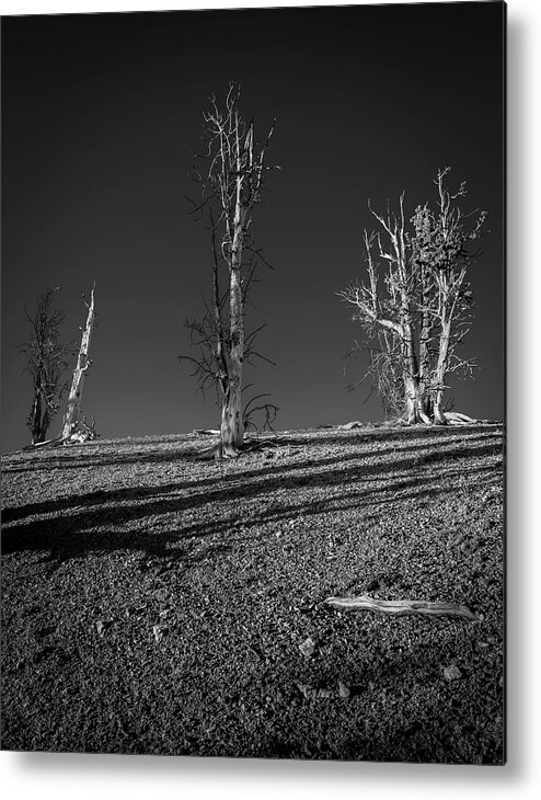 Landscape Metal Print featuring the photograph Socially Distant by Grant Sorenson