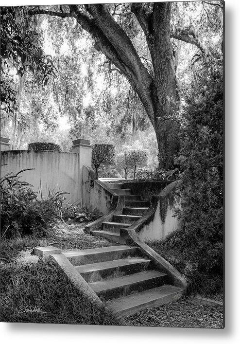 Black And White Metal Print featuring the photograph Stairway to Heaven by Shara Abel