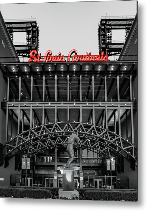 Stan The Man Metal Print featuring the photograph Stan the Man and Cardinal Red by Joe Kopp