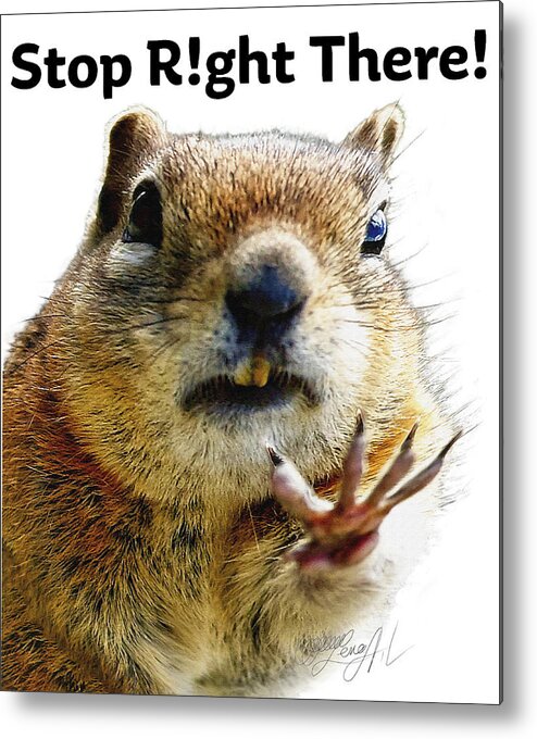 Talk To The Hand Metal Print featuring the photograph Stop Right There - Chipmunk Body Language with Typography by Lena Owens - OLena Art Vibrant Palette Knife and Graphic Design