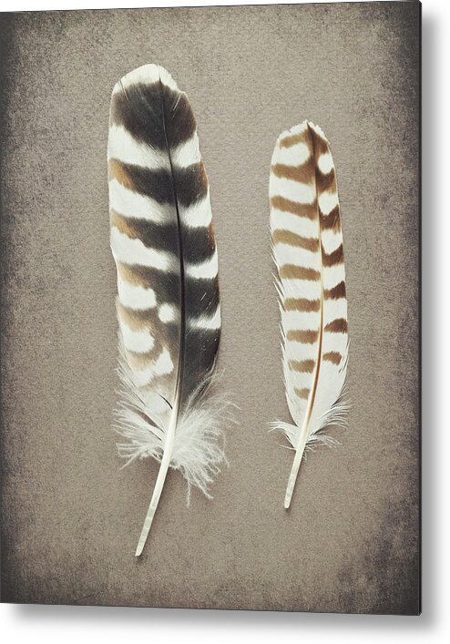 Feathers Metal Print featuring the photograph Striped Pair by Lupen Grainne