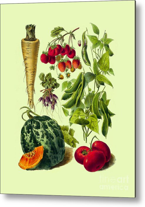 Vegetables Metal Print featuring the digital art Summer Garden by Madame Memento